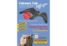 FALCONRY FAIR IN AFFLIGEM - BELGIUM
