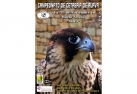 CAMPIONATO DI FALCONERIA DI ALAVA