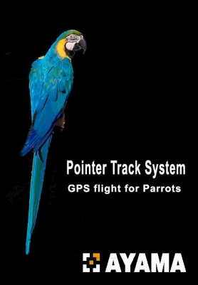 Pack Pointer Track Parrot
