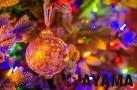 Merry Christmas and Happy New Year 2022