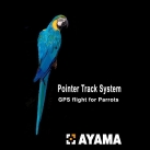 Enjoy free flight with your parrot!