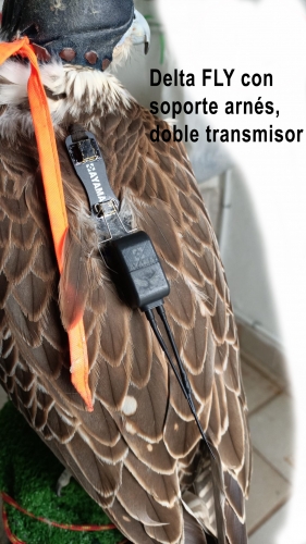 Delta Fly transmitter